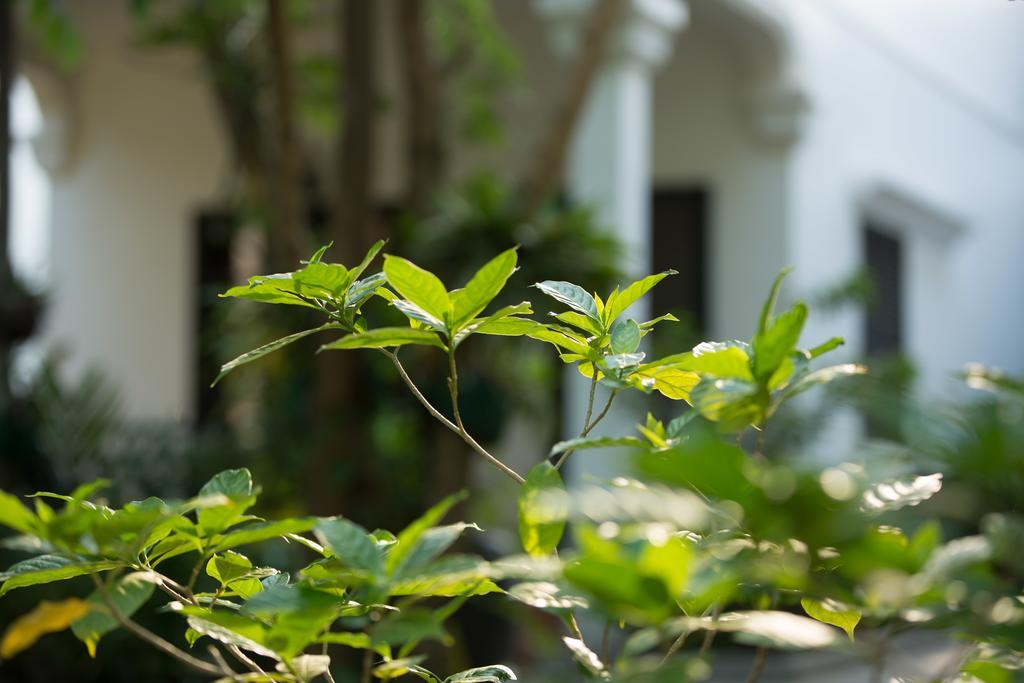 Sonalong Boutique Village & Resort Siem Reap Eksteriør bilde